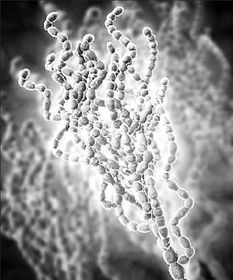 人体微生物组的概念和特点是什么