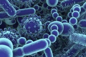 人体内的微生物有哪些