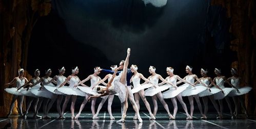 芭蕾舞的起源与流派有哪些特点