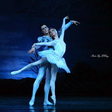 芭蕾舞蹈的浪漫之旅，从起源到辉煌