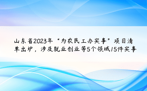 山东省2023年“为农民工办实事”项目清单出炉，涉及就业创业等5个领域15件实事