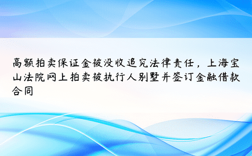 高额拍卖保证金被没收追究法律责任，上海宝山法院网上拍卖被执行人别墅并签订金融借款合同